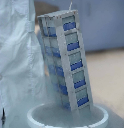 凍存架與凍存管 凍存架與凍存管